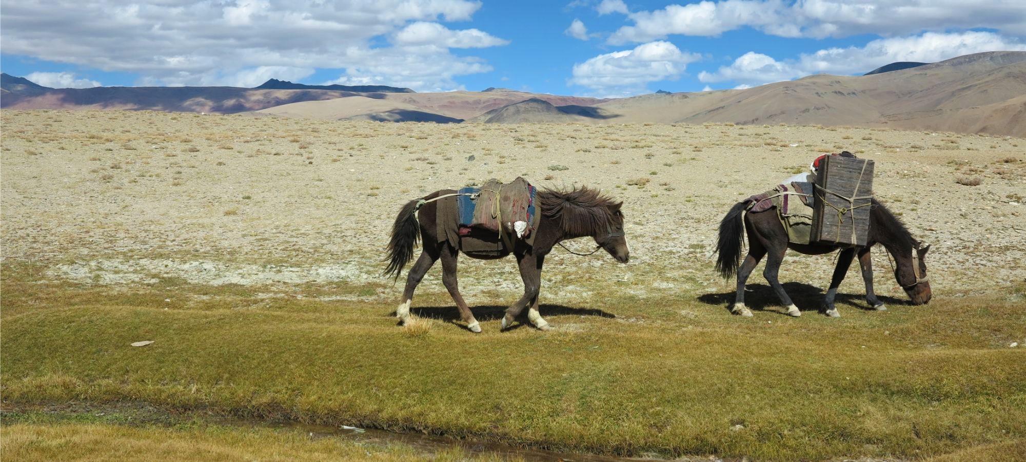 Cycling Holidays India Himalaya